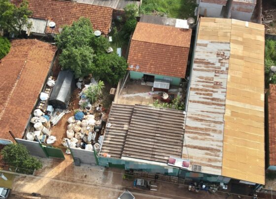 Terra Limpa: PCGO apreende 25 toneladas de recipientes de defensivos agrícolas e prende suspeitos em flagrante