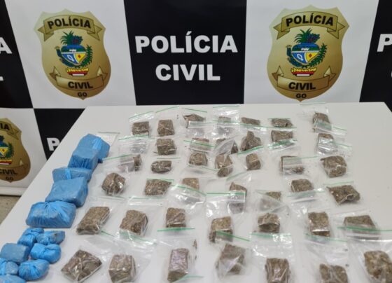PCGO prende homem por tráfico de drogas e ameaça à mãe, em Cachoeira Alta
