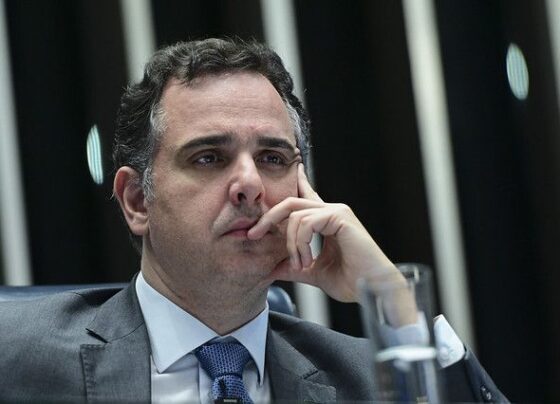 CNN Brasil