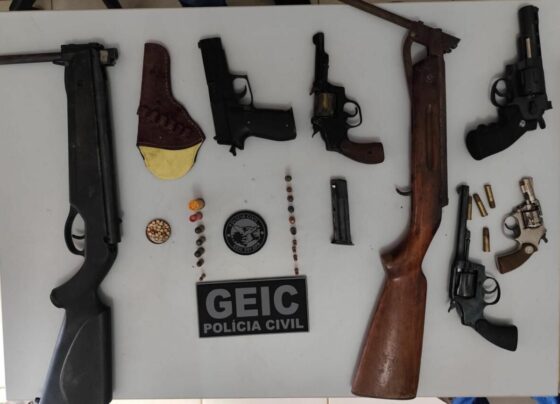 Operação da PCGO apreende diversas armas em oficina clandestina de Iporá