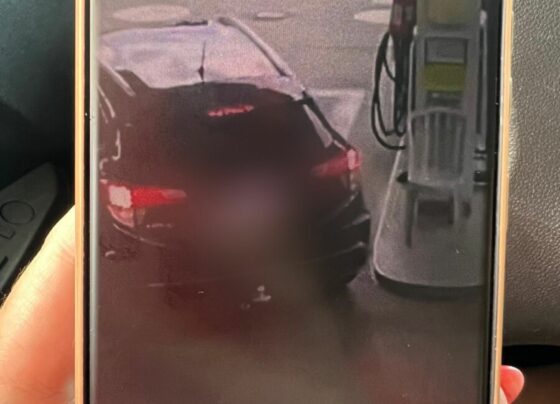 PCGO prende em Goiânia investigado por furtar objetos de veículos sem deixar rastros