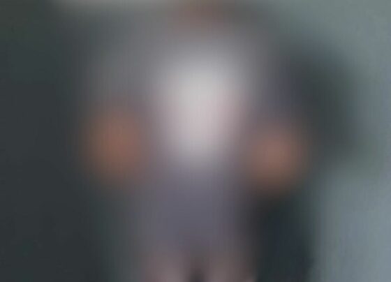 PCGO prende homem por dívida de pensão alimentícia