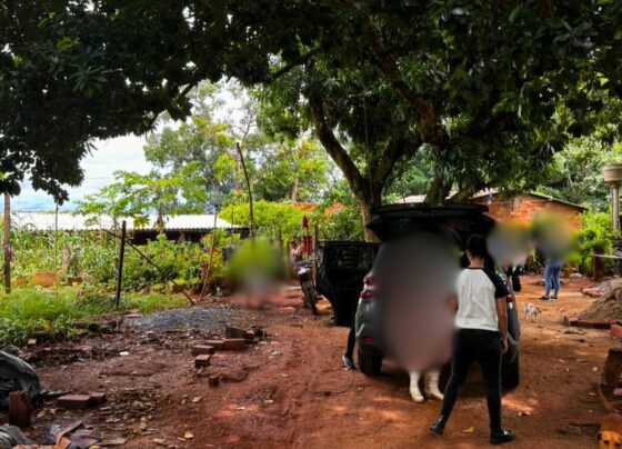 Polícia Civil prende irmão investigado por estuprar a irmã grávida, em Trindade