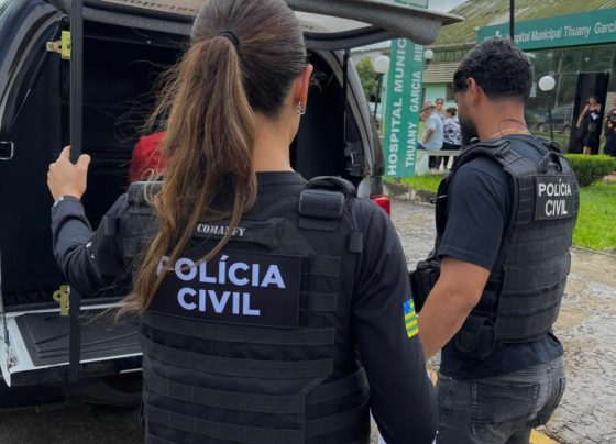 Polícia Civil prende motorista que atropelou e matou cachorro em via pública de Piracanjuba