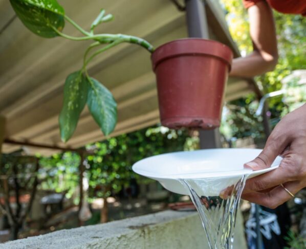 Saúde adverte sobre necessidade de intensificar combate ao Aedes aegypti nas férias