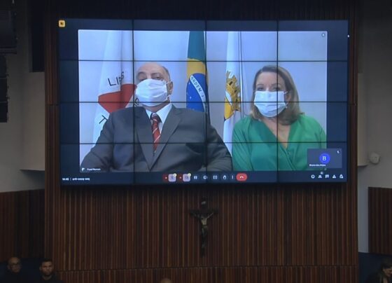 CNN Brasil