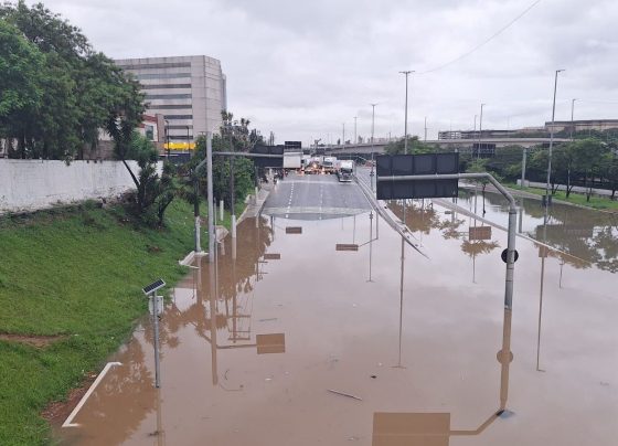 CNN Brasil
