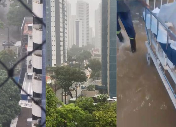 CNN Brasil