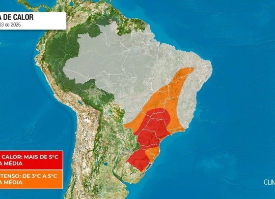 CNN Brasil