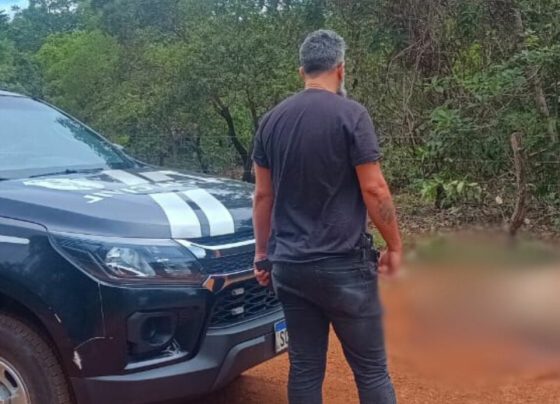 Crime ambiental: PCGO localiza vaca descartada irregularmente na zona rural de Niquelândia