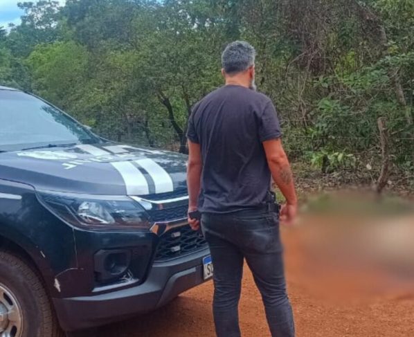 Crime ambiental: PCGO localiza vaca descartada irregularmente na zona rural de Niquelândia