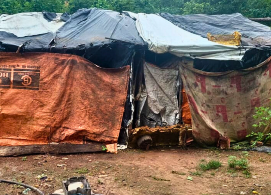 PCGO prende em flagrante homem que tentou matar companheira em Flores de Goiás