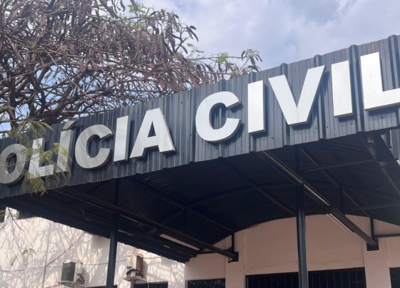 PCGO prende investigado em MG por matar outro após desavença por muda de planta