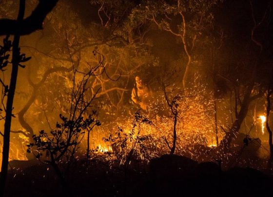 Governo investe R$ 1 milhão na prevenção de incêndios no Cerrado