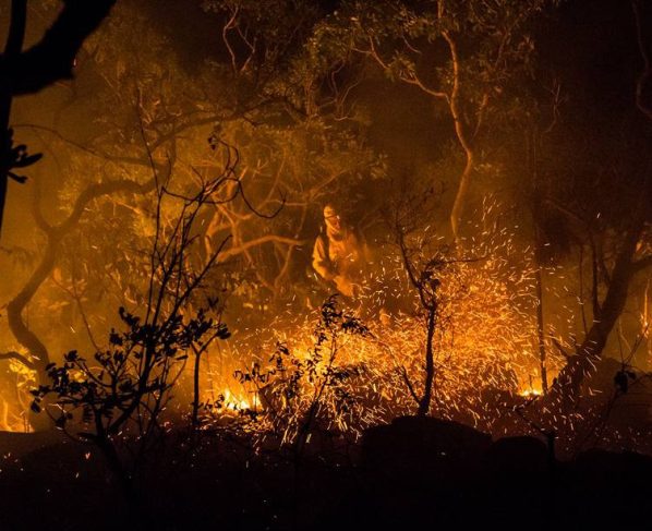 Governo investe R$ 1 milhão na prevenção de incêndios no Cerrado