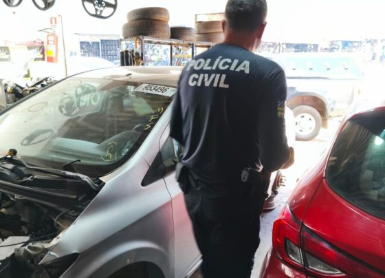 PCGO cumpre mandado de busca em loja suspeita de vender peças veiculares