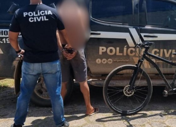 PCGO prende autor de furto de bicicleta em São Domingos