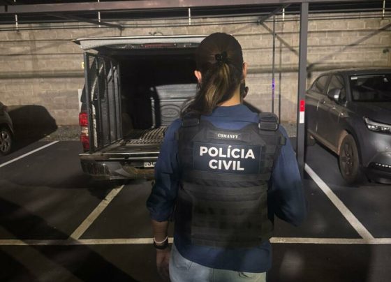 Polícia Civil prende homem investigado por furtar mais de dez residências em Piracanjuba