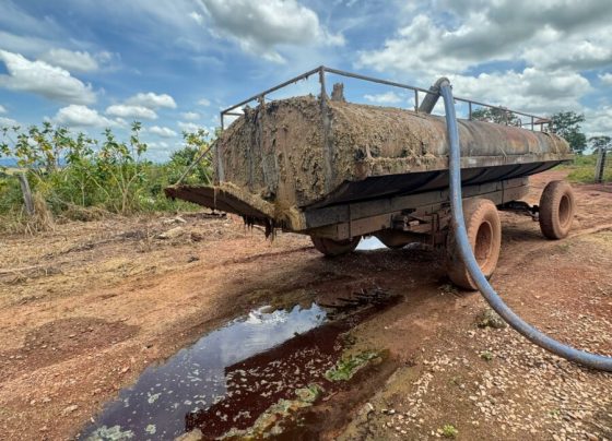 Polícia Civil prende três pessoas em flagrante por crimes ambientais e porte ilegal de arma em frigorífico de Porangatu