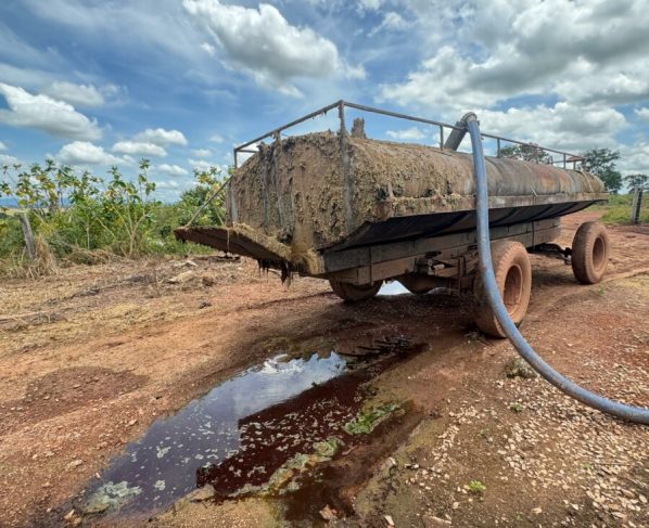 Polícia Civil prende três pessoas em flagrante por crimes ambientais e porte ilegal de arma em frigorífico de Porangatu