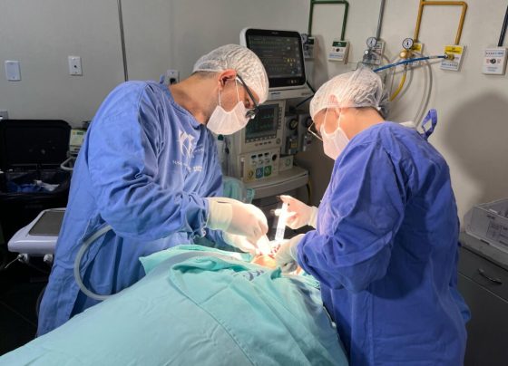 HGG oferece atendimento odontológico gratuito a pacientes hospitalizados