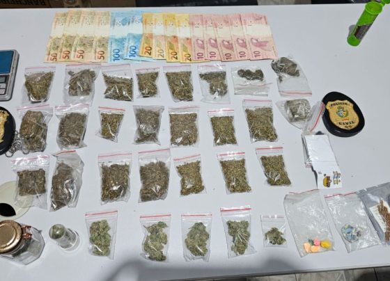 PCGO cumpre mandado em Cavalcante e apreende drogas sintéticas e alucinógenos