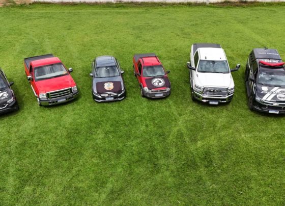 PCGO prende empresário por furtos a empresa de energia elétrica e bloqueia R$ 20 milhões do crime organizado