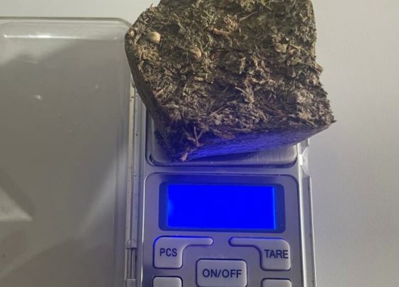 PCGO deflagra Operação “Revenge” em Rubiataba e prende suspeitos de tentativa de homicídio