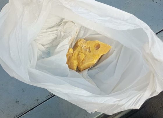 PCGO apreende cocaína e prende grupo suspeito de abastecer pontos de tráfico em Posse