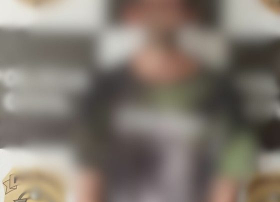 Rascunho automático