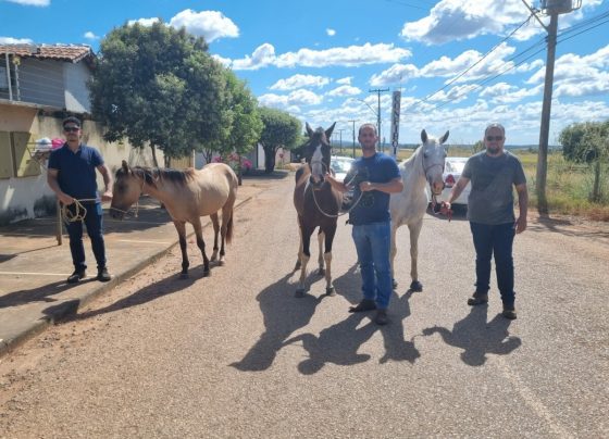 PCGO Identifica e apreende três adolescentes suspeitos de cometerem diversos furtos sequenciais de equinos em diferentes setores em Porangatu