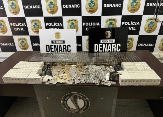 PCGO apreende carga de anabolizantes de venda ilegal avaliada em mais de R$100 mil