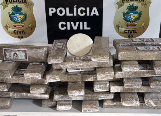 PCGO apreende quase 40 kg de maconha e prende suspeito de tráfico de drogas em Catalão