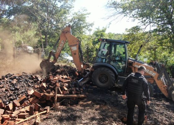 ‘Forno a Lenha’ PCGO deflagra operação com foco repressão de produção ilegal de carvão