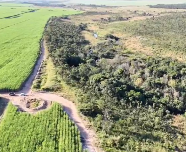 PCGO vistoria áreas de preservação permanente em regeneração em Chapadão do Céu