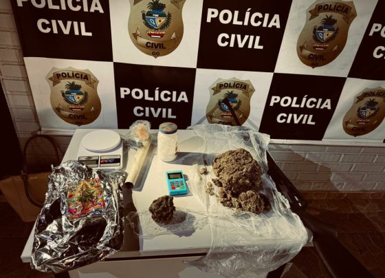 PCGO desarticula organização criminosa ligada ao tráfico de drogas e causa prejuízo de R$ 100 mil ao crime