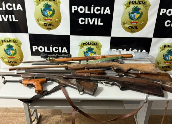 PCGO apreende armas e prende homem por ameaça à ex companheira