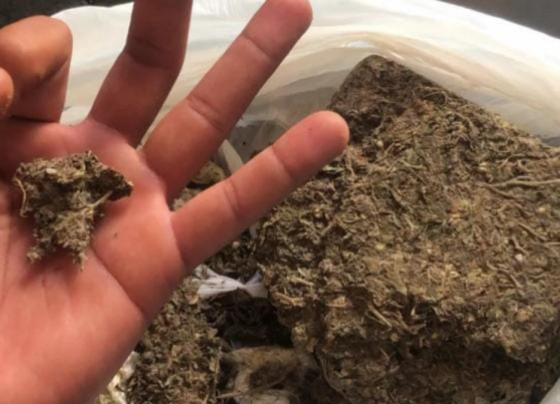 PCGO prende homem que anunciou drogas em redes sociais e comercializou em festa municipal