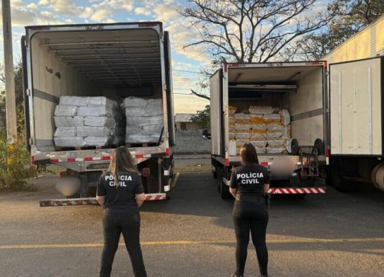 PCGO desarticula golpe e apreende carga de 12 toneladas de polpa de açaí avaliada em R$ 200 mil