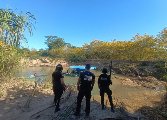 PCGO deflagra operação em Niquelândia e apura crimes ambientais na zona rural