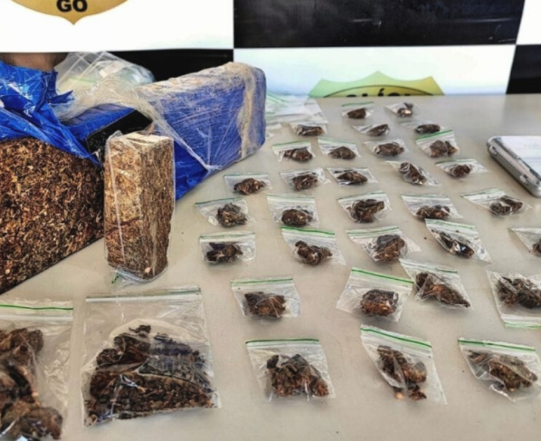 PCGO prende homem em flagrante por tráfico de drogas e apreende “super maconha” em Minaçu