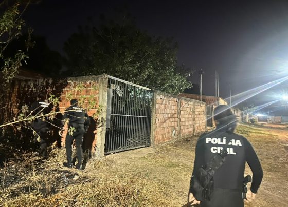 PCGO apoia prisão de investigado por crimes virtuais envolvendo abuso infantil, tortura e racismo