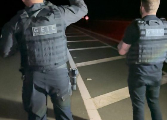 PCGO prende traficante em flagrante por transporte de “skank” de Uberlândia para Cristalina