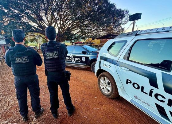 PCGO apreende armas de agressor doméstico em Iporá