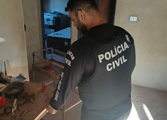 Polícia Civil apreende armas usadas para ameaçar mulher e prende investigado em flagrante