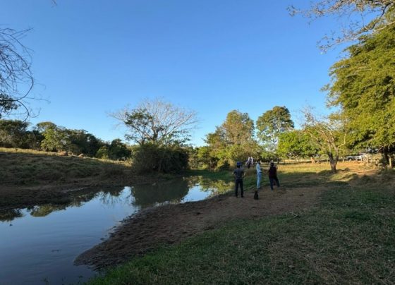 Polícia Civil investiga crime ambiental em Palminópolis; peixes foram encontrados mortos em córrego