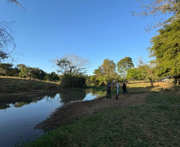 Polícia Civil investiga crime ambiental em Palminópolis; peixes foram encontrados mortos em córrego