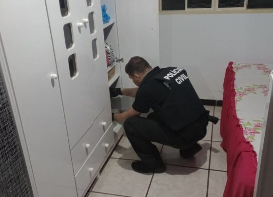 PCGO cumpre mandado de busca contra padrasto por importunação sexual e por armazenar imagens íntimas de enteada