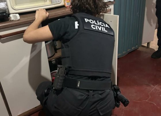 Operação Miragem: PCGO cumpre ordens judiciais e prende líder de associação criminosa que aplicava golpes na internet