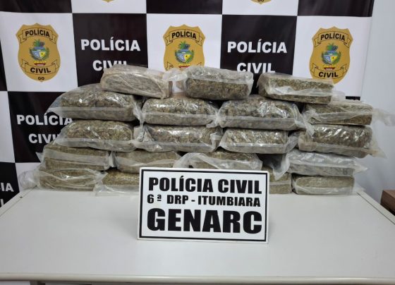 PCGO intercepta carregamento de “supermaconha” avaliado em R$ 500 mil